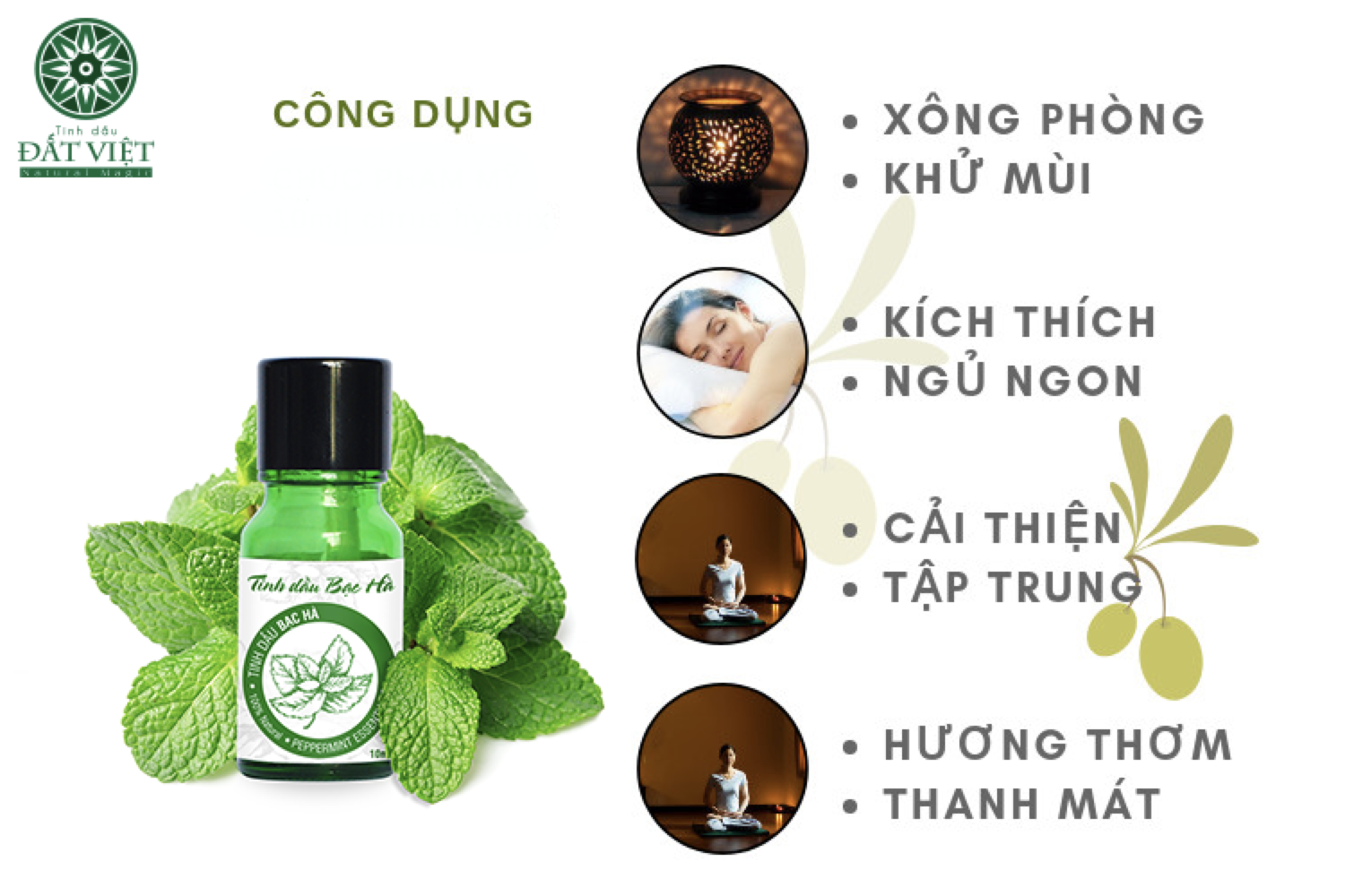 cong-dung-tinh-dau-bac-ha